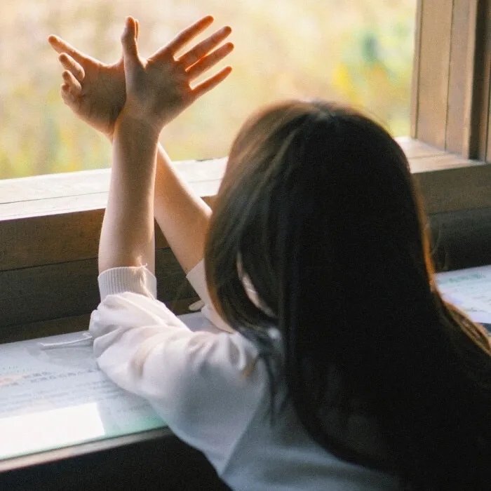 天狼劫粤语